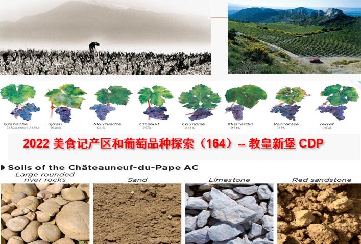 美食记产区和葡萄品种探索（229）---- 法国教皇新堡 Chateauneuf-du-Pape 图片1