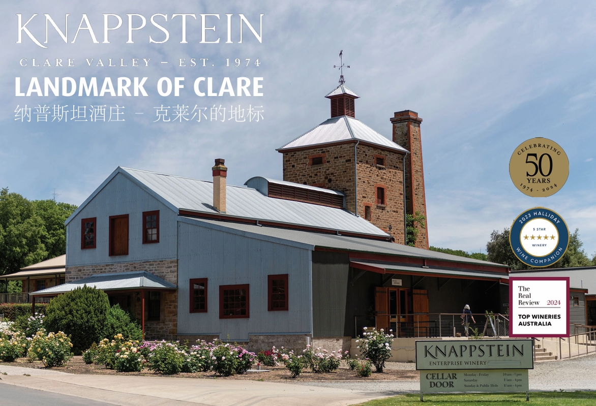 Knappstein The Insider Riesling 2023 产品图片